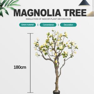 Quality Customized Large Plastic Artificial Magnolia Tree 600cm Height wholesale