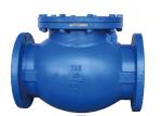 DIN Cast Iron Low Pressure Flanged Check Valve Swing RF For Water