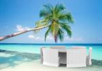 5pcs rattan sofa set.