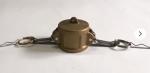 Quick connect camlock couplings fittings,Stainless steel (SS316, SS304), Brass,