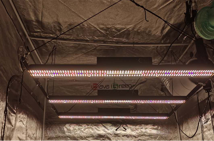 Sosen Driver 600W 5000k 385nm UV Full Spectrum Light Bar For Indoor Vegetable