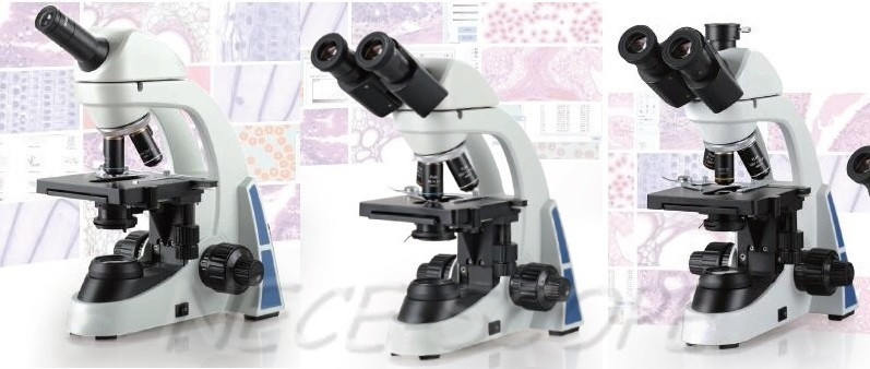 Monocular Student Laboratory Biological Microscope NCB - E500 30° Inclined