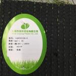 Fake Outdoor Synthetic Grass For Office House Commercial Building Terrace