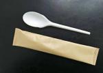 165mm Eco Friendly Restaurant Compostable PLA Spoons