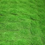 Indoor Cloth Artificial Moss Mat 100*100cm Landscape Fake Green Grass Wall