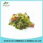 Best Price Food Color Natural Amaranth Pigment Red