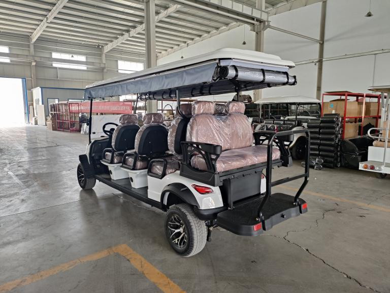 OEM 8 Seaters Golf Cart Off Road Customized White 72V 100Ah Lead Acid Battery