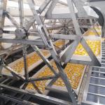 24KW Commercial Microwave Vacuum Dryer Pineapple Mango Dehydrator Oven