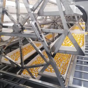 Quality 24KW Commercial Microwave Vacuum Dryer Pineapple Mango Dehydrator Oven wholesale