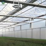 Galvanized Steel Frame Greenhouse multi span greenhouse Film Covering Space