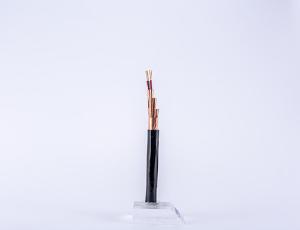 Quality 35mm XLPE Insulation Cable SWA 4 Core 0.6KV Armoured Copper Conductor wholesale