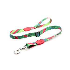 Quality 6.1m 20 Foot Anti Pull Dog Lead Collar For Yard Disabled Owners Extra Long wholesale