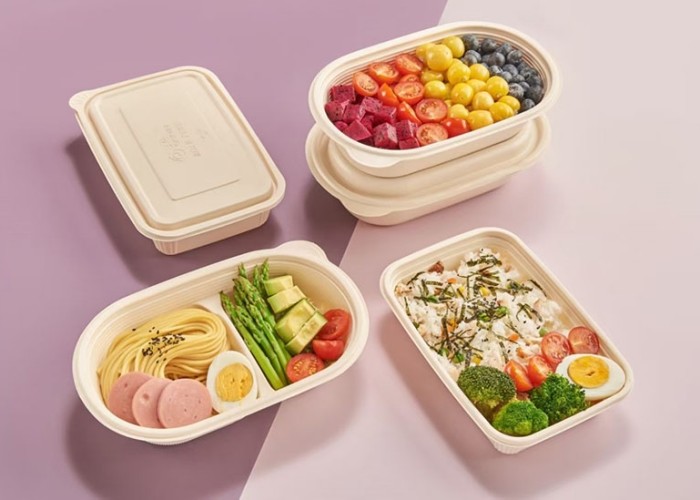 Biodegradable Food Container Making Machine Plastic Takeaway Box