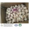 Buy cheap Garlic to Senegal from wholesalers