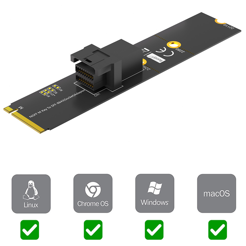 NVMe SSD M.2 Module With Mini SAS HD SFF-8643 Adapter Connector