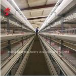 Chicken Layer Galvanized Poultry Battery Cage System Oxidation Resistance In