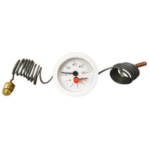Quality White Capillary 52mm 10 Bar Pressure Temperature Gauge Back Mount wholesale