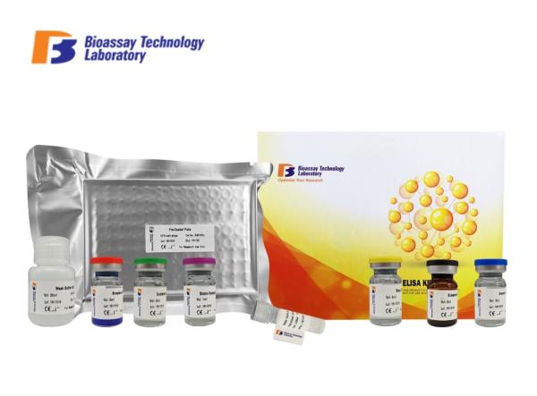 CORT Sandwich Immunoassay Porcine ELISA Kit 96 Wells Size With Strong Sensitivit