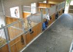Durable Commercial Grade Metal Barn Buildings For Horse 4.0 x 2.2m