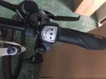 Western Style 36v 250 Watt Electric Powered Mountain Bike