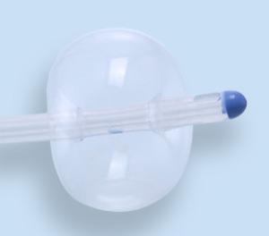 Quality FSC Silicone 6-26 French 2 Way Foley Balloon Catheter Medical Grade Disposable wholesale