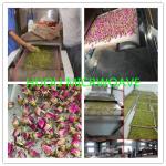 Drying Equipment Industrial Microwave Dryer