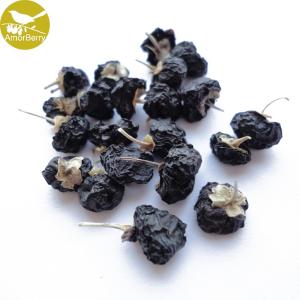 Quality Factory manufacturer black goji berry, big size black goji berry,ISO certified Black Goji Berry Extract wholesale