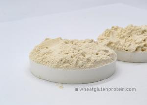 Quality Healthy Natural Vital Wheat Gluten Powder For Bread ISO / HACCP Certification wholesale
