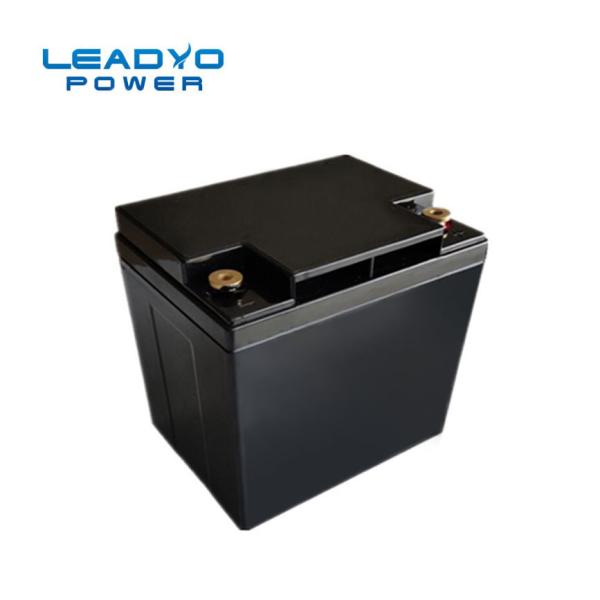 Cheap Leadyo Lawn Mower Lithium Battery ABS Case 12V 20Ah LiFePO4 Battery for sale