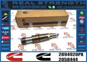 Quality INJECTORS 2894920 2894920PX wholesale