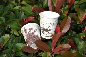 Quality Hot Coffee Cups wholesale