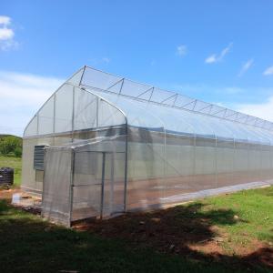 Quality high performance High Tunnel Sawtooth Greenhouse Agricultural ISO9001 wholesale