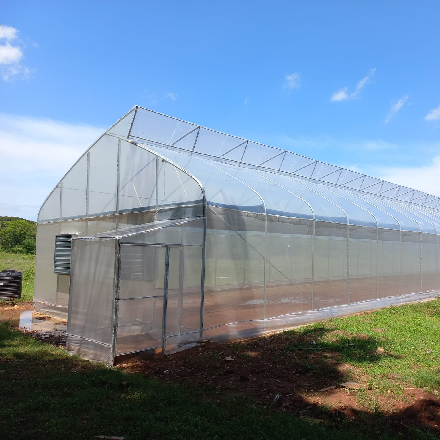 high performance High Tunnel Sawtooth Greenhouse Agricultural ISO9001
