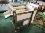 automatic commercial carrot/ginger/potato/fish/Hawthorn washing and polishing