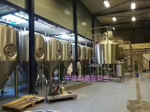 Quality Steam heating Microbrewery Equipment Stainless Steel 100L 200L 300L Per Batch wholesale