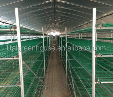 Single-Span Agricultural Greenhouses for Commercial Stable Structure Easily Assembled