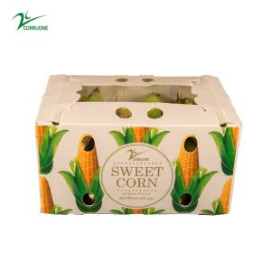 Quality 1.5mm-30mm PP Corrugated Plastic Packaging Boxes White Green Blue wholesale