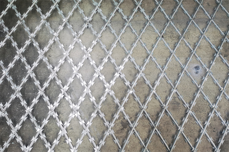 Hot Dip High Security Razor Barbed Wire Mesh Panel Fence Razor Wire Mesh Fence Form China Factory