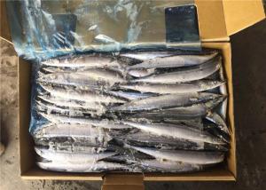 Quality #4 Frozen Pacific Saury wholesale
