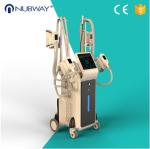 OEM and ODＭ service body slimming cryoliplysis fat reduction machine