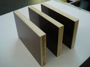Quality Film Faced Plywood with 14mm 15mm 18mm and 21mm, phenolic shuttering plywood wholesale