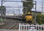 Speedy International Express Courier Service , Express Mail Courier Service From
