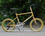 Aluminum 190cm 7 Speed 24 Inch Wheel Electric Bike