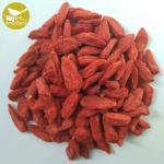 High Quality Bag Package Qinghai Chinese Organic Wolfberry/Goji berry/red medlar