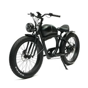 Quality Long Range 48V 750W Rear Hub Motor Electric Motorbike with 48V 20Ah Lithium Battery wholesale