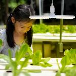 Compact LED Grow Lights For Vegetables 20W 40W IP68 Waterproof