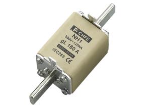 Quality Copper Porcelain Panel Mount Fuse Holder 120KA Breaking 690V wholesale