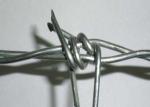 2.5mm Low Carbon Steel Galvanised Barbed Wire In 28cm Roll