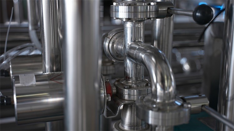 Efficient Mango Processing Line Customized for Different Mango Products
