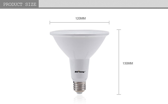 Supply 16W LED par light